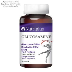 NUTRIPLUS Glukosamin